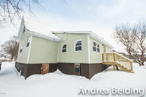 609 Charles St, Belding, MI 48809 photo 10
