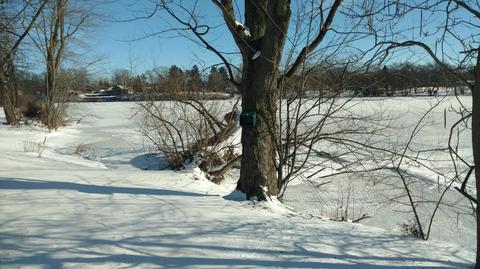 58794 Ash Rd, Three Rivers, MI 49093 photo 45