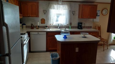 58794 Ash Rd, Three Rivers, MI 49093 photo 21