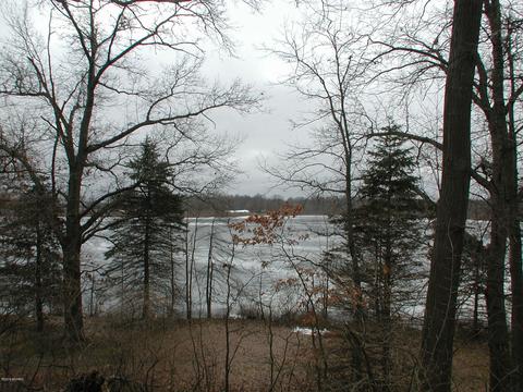 12595 North Ct, Marcellus, MI 49067 photo 8