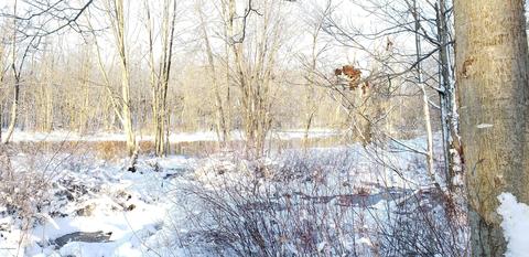 15760 Floating Bridge Rd, Three Rivers, MI 49093 photo 73