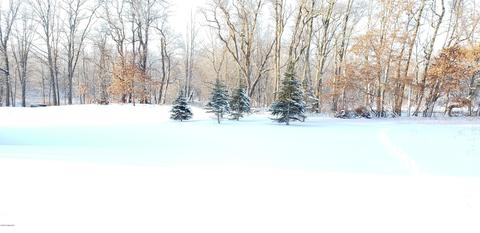 15760 Floating Bridge Rd, Three Rivers, MI 49093 photo 8