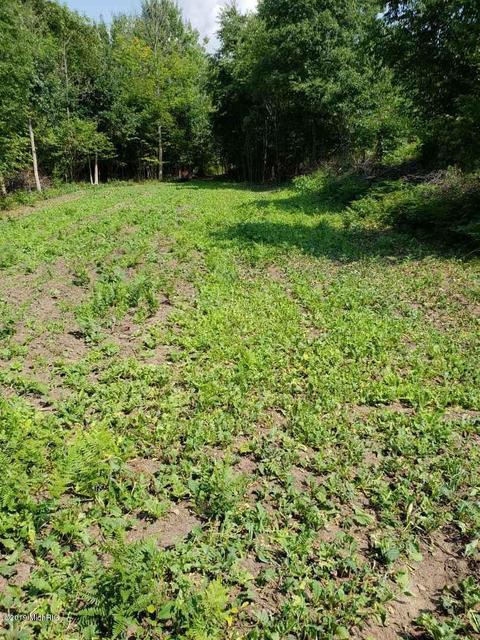 6956 E 5 Mile, White Cloud, MI 49349 photo 3