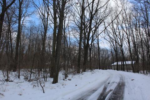 2606 N Backus Rd, Stanton, MI 48888 photo 8