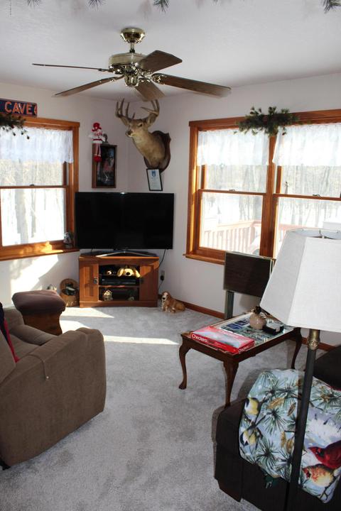 2606 N Backus Rd, Stanton, MI 48888 photo 16