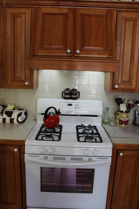 2606 N Backus Rd, Stanton, MI 48888 photo 14