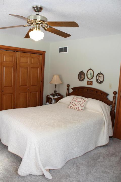 2606 N Backus Rd, Stanton, MI 48888 photo 27