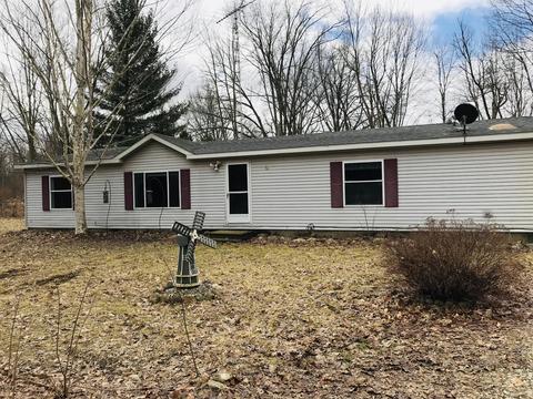 25027 Flach Rd, Mendon, MI 49072 photo 1