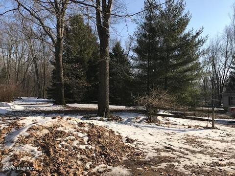 25027 Flach Rd, Mendon, MI 49072 photo 24
