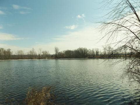 14961 Diane Dr, Constantine, MI 49042 photo 32