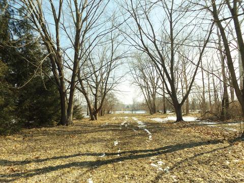 14961 Diane Dr, Constantine, MI 49042 photo 30