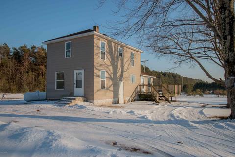 1007 N 52nd Ave, Mears, MI 49436 photo 4