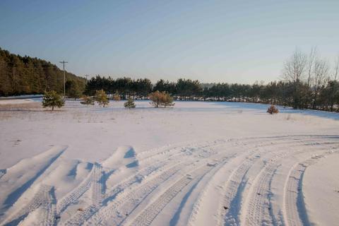 1007 N 52nd Ave, Mears, MI 49436 photo 24