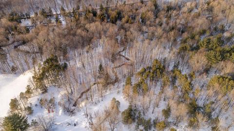 3044 E Deer Rd, Hart, MI 49420 photo 6