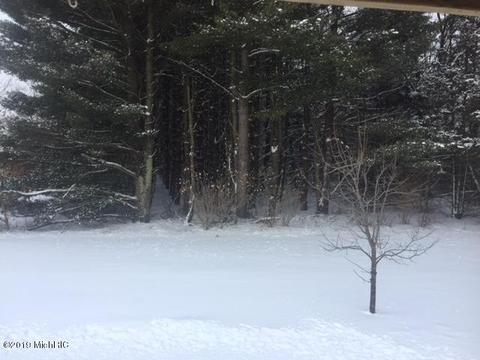 5943 105th Ave, Pullman, MI 49450 photo 23