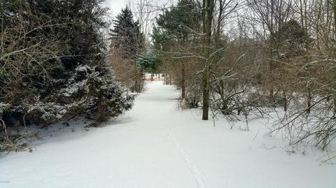 728 Miller Rd, Plainwell, MI 49080 photo 4