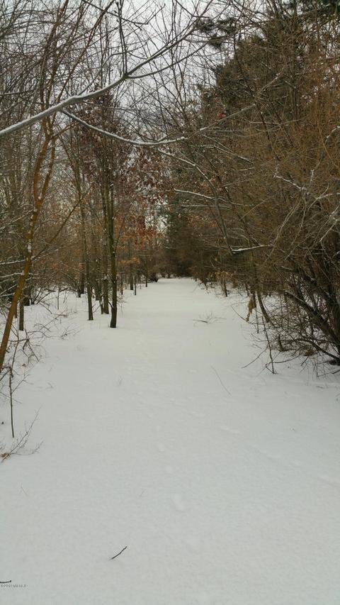 728 Miller Rd, Plainwell, MI 49080 photo 34