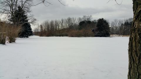 728 Miller Rd, Plainwell, MI 49080 photo 39