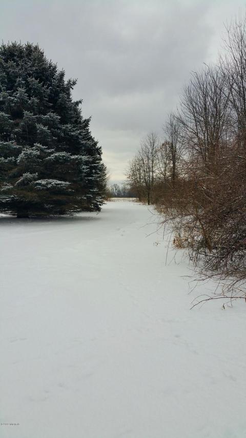 728 Miller Rd, Plainwell, MI 49080 photo 3