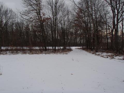 22010 B Dr N, Marshall, MI 49068 photo 37