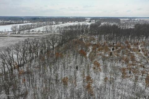 22010 B Dr N, Marshall, MI 49068 photo 41