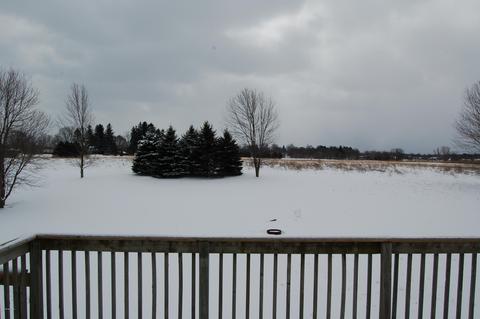 3018 144th Ave, Dorr, MI 49323 photo 26