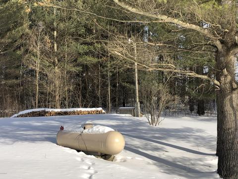 6331 E Deer Path Rd, Evart, MI 49631 photo 3