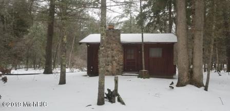 9538 S James Rd, Baldwin, MI 49304 photo 1