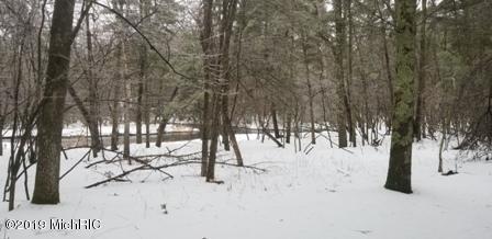 9538 S James Rd, Baldwin, MI 49304 photo 4
