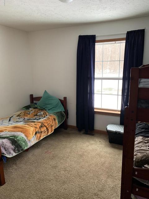 5044 E 112th St, Grant, MI 49327 photo 24