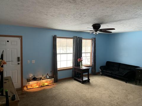 5044 E 112th St, Grant, MI 49327 photo 16