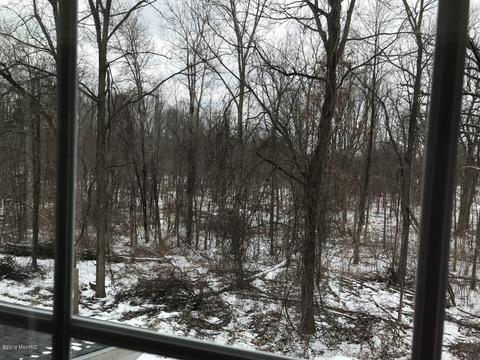 8732 D Dr S, Ceresco, MI 49033 photo 15