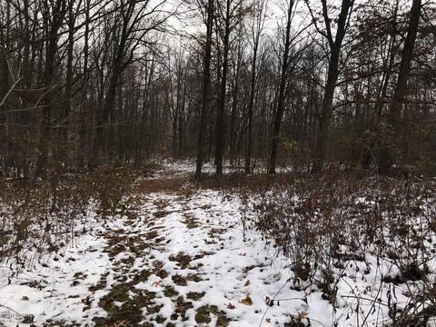 8732 D Dr S, Ceresco, MI 49033 photo 16