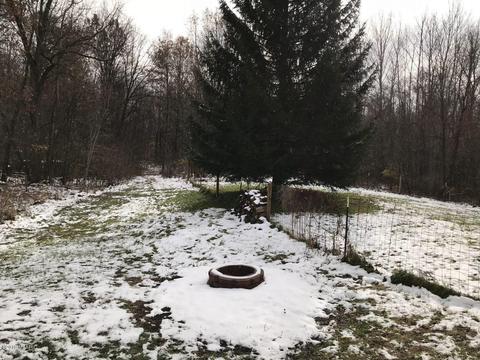 8732 D Dr S, Ceresco, MI 49033 photo 18
