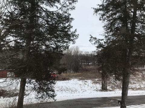 8732 D Dr S, Ceresco, MI 49033 photo 14