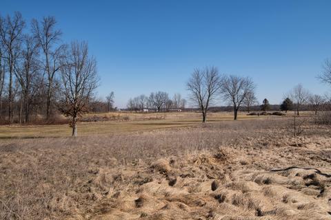 6539 Jacaranda, Scotts, MI 49088 photo 30