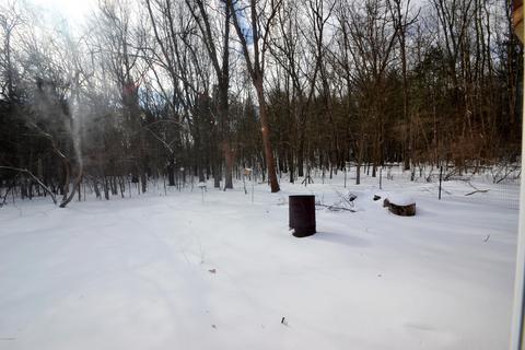 926 E Sidney Rd, Stanton, MI 48888 photo 4