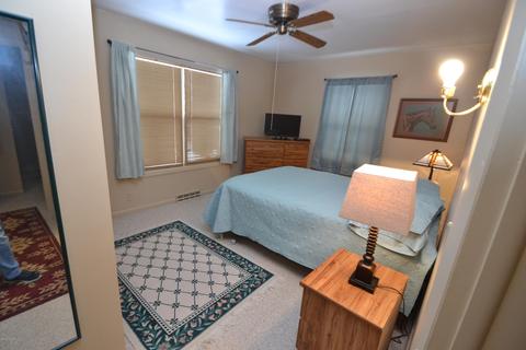926 E Sidney Rd, Stanton, MI 48888 photo 11