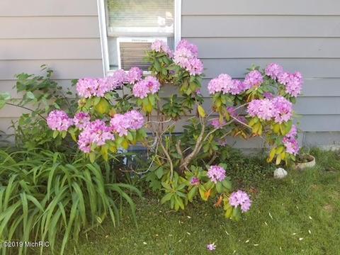 313 River St, Buchanan, MI 49107 photo 2