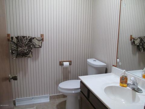 256 Riverview Dr, Coldwater, MI 49036 photo 8
