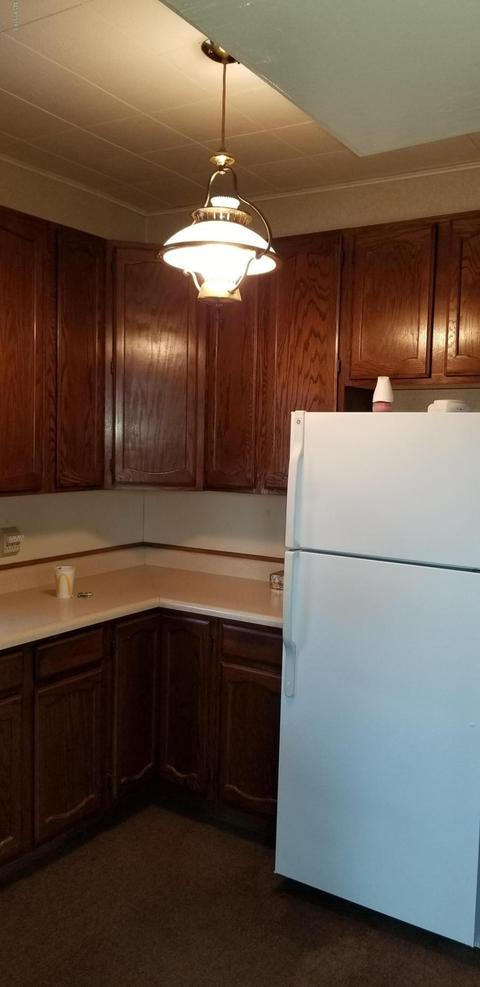217 S Bridge St, Belding, MI 48809 photo 15