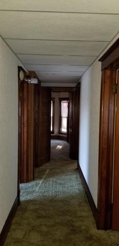217 S Bridge St, Belding, MI 48809 photo 21