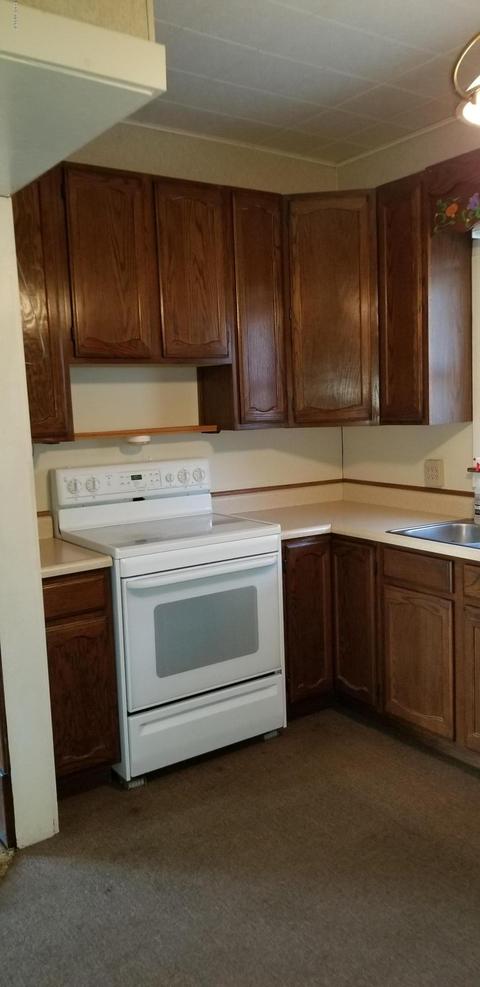 217 S Bridge St, Belding, MI 48809 photo 16