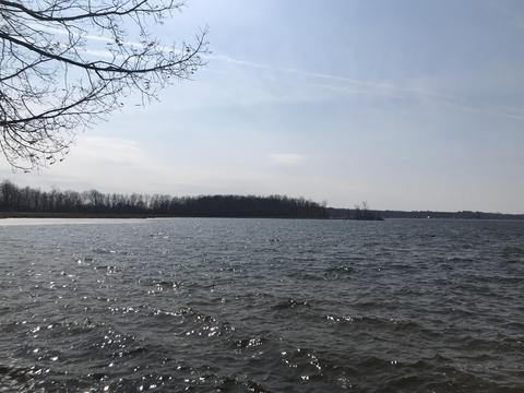 1458 Shepard Rd, Crystal, MI 48818 photo 5
