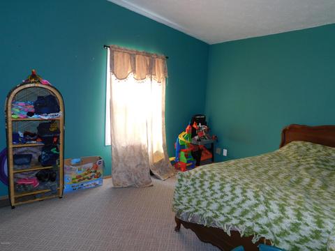 8255 Peckins Rd, Lyons, MI 48851 photo 15