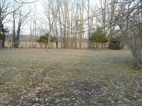 8255 Peckins Rd, Lyons, MI 48851 photo 32