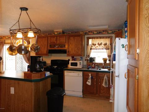 8255 Peckins Rd, Lyons, MI 48851 photo 11