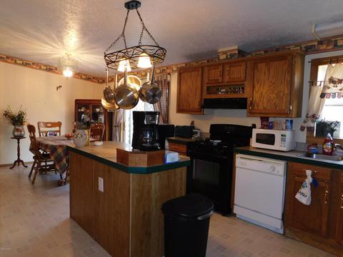 8255 Peckins Rd, Lyons, MI 48851 photo 10