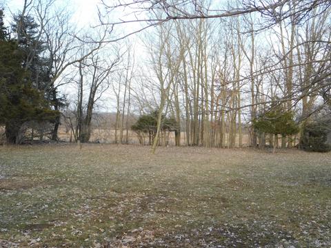 8255 Peckins Rd, Lyons, MI 48851 photo 31