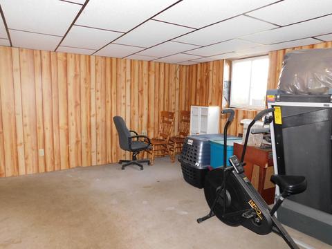 8255 Peckins Rd, Lyons, MI 48851 photo 22